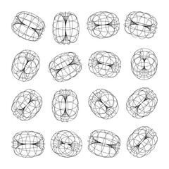 Wireframe lined shapes. Perspective mesh, 3d grid. Low poly geometric elements. Retro futuristic design elements, y2k, vaporwave and synthwave style. Vector illustration