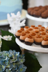 candy balls, dark background, black background, white fudgeball, white brigadeiro, brazilian sweets, brigadeiro, birthday party
