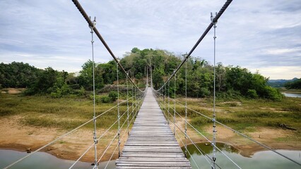 Fototapeta premium Suspension pedestrian bridge over calm waters, dense vegetation in the background, morning sky