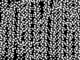 A monochrome black and white background of white flowers in bloom