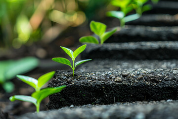 CRM scalability for business growth