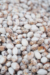 high protein Beans in a bowl 