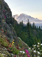 national park