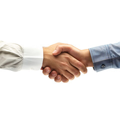Highly detailed image of partners congratulating each other with handshakes and smiles after a successful project