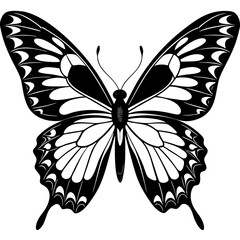 a big butterfly vector silhouette illustration