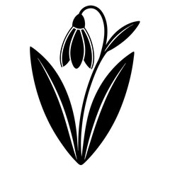 Snowdrop flower vector silhouette illustration