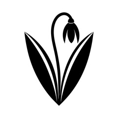 Snowdrop flower vector silhouette illustration