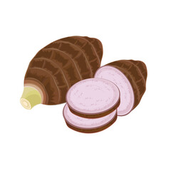 Vector illustration logo clip art taro roots isolated