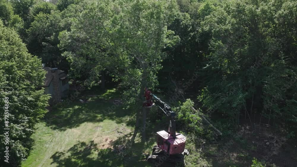 Poster aerial view of deforestation in forest by fully automated lumberjack machine during daytime.