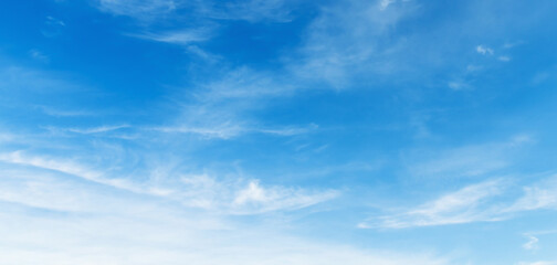 Fototapeta premium sky is blue and clear with no clouds
