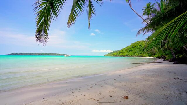 Tropical island with a paradise beach with yellow sand and coconut trees. Turquoise ocean near the sandy coast on a sunny summer day. Summer holidays and tropical beach concept.
