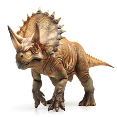 Fototapeta premium Sinoceratops isolated on white background