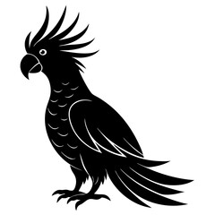 Cockatoo bird icon silhouette vector art illustration