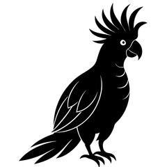 Cockatoo bird icon silhouette vector art illustration