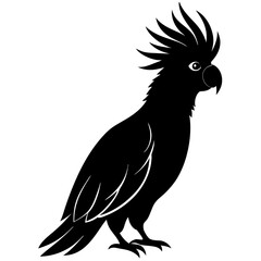 Cockatoo bird icon silhouette vector art illustration