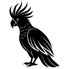 Cockatoo bird icon silhouette vector art illustration