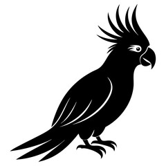 Cockatoo bird icon silhouette vector art illustration