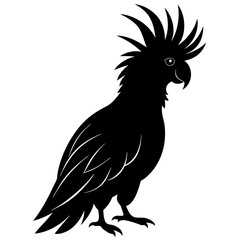 Fototapeta premium Cockatoo bird icon silhouette vector art illustration