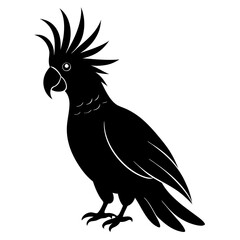 Cockatoo bird icon silhouette vector art illustration