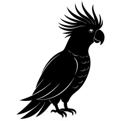 Cockatoo bird icon silhouette vector art illustration