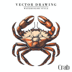 Crab Seafood vector vintage watercolor style 