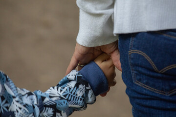 Family members holding hands together motherhood parents protection