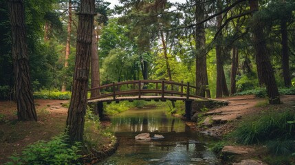 Peaceful public park with a bridge over a small stream, framed by tall trees