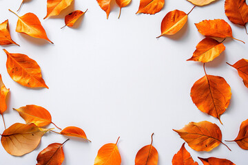Autumn orange leaves arranged in a circle on a white background creating a space for product placement