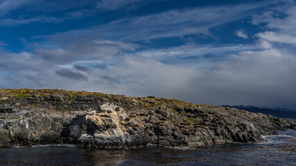 A colony of sea lions rests on the slope of a rocky islet in the Beagle Channel. The cormorants sat down next to each other. Algae on the ocean surface. Clouds in the blue sky. Isla de los lobos.