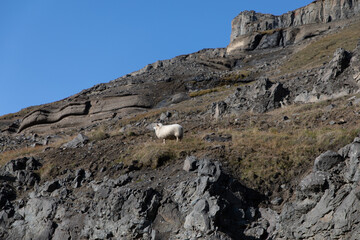 Berge Islands