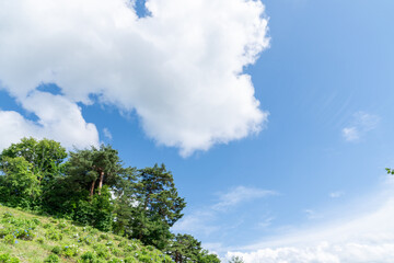 Obraz premium 綺麗な緑の木々と、青空と白い雲