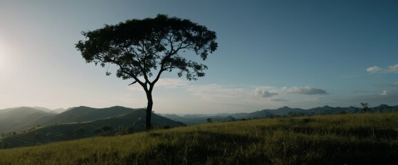 PNG Plateau vegetation landscape Panoramic vista rolling hills b
