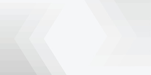 Obraz premium Abstract Geometric modern white and gray color. Modern and Creative Trend design