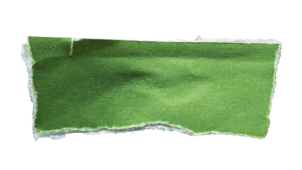Torn green and white paper for using as a text box