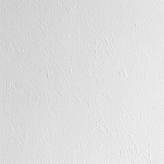 Clean white paper texture with subtle grain, providing a simple and versatile background