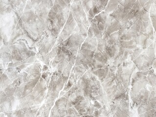 Obraz premium Light grey marble texture with delicate veining
