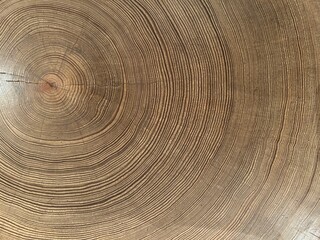 Fototapeta premium Yakushima is a World Heritage Site island located in Kagoshima Prefecture, Kyushu, Japan, is home to Yakusugi cedar trees over 1,000 years old, pristine beaches, and Japan's best sea turtle nesting si