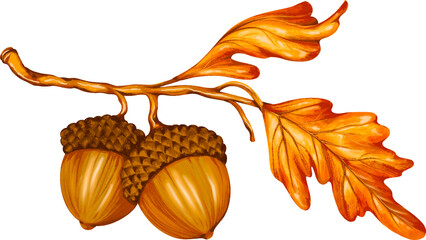 Autumn Fall Acorns © Hydric