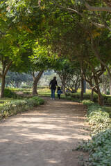 Family members holding hands while walking in a park during a sunny day in Lima Peru
