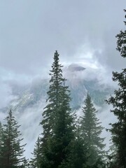 Dense fog in the mountains