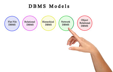 Woman Presenting Four DBMS Models