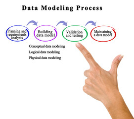 Components of Data Modeling Process