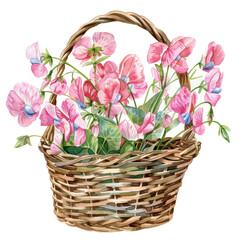 Obraz premium A beautiful wicker basket filled with fresh, vibrant pink flowers, perfect for a springtime or floral-themed decoration. transparent background
