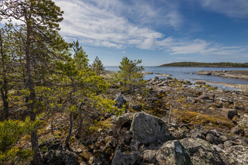 Scenic view of rocky shore on a Finnish island with trees and moss-covered rocks, water stretching to horizon. Bright blue sky with fluffy clouds.