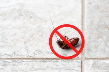 Anti cockroach, pest control concept. Stop insects sign. Cockroach with caution sign, pest control...
