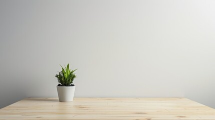 Minimalist Plant on Wooden Table with White Wall Background