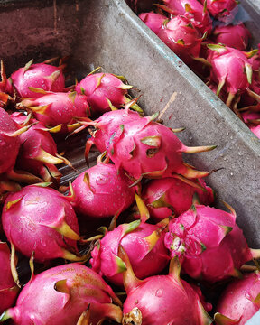 Frutas del drag&oacute;n o pitahayas con gotas de agua en lavadero de cemento 