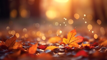 Autumn scene with vibrant foliage and a glowing bokeh effect in the background
