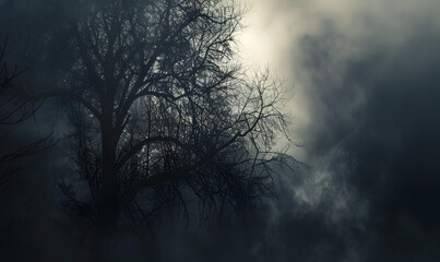 Obraz premium Abstract white smoke or steam swirls