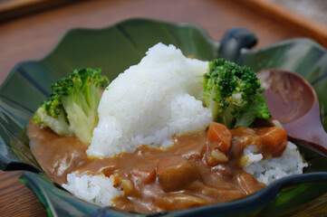 お昼はイルカ型のご飯が乗ったカレーライス。

日本国石川県七尾市能登島 - 2017年5月5日。
北陸地方の石川県、能登半島の先端にある能登島（北緯37度07分、東経136度59分）は、ミナミハンドウイルカの地球上の北限の生息地として知られている。
Indian Ocean Bottlenose Dolphin (Tursiops aduncus)
